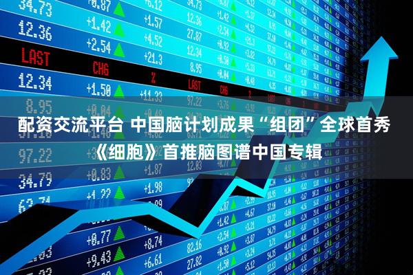配资交流平台 中国脑计划成果“组团”全球首秀 《细胞》首推脑图谱中国专辑